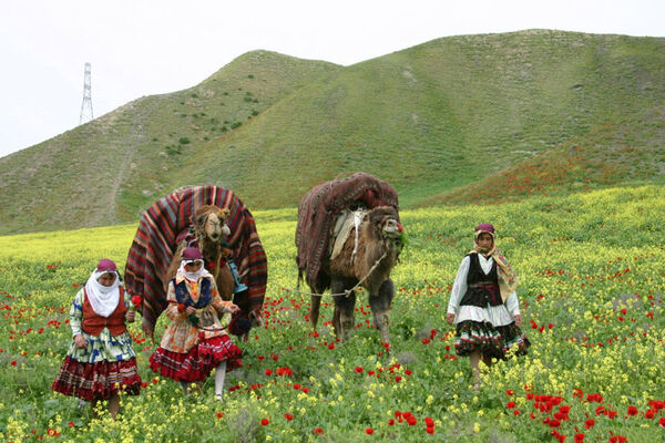 حمایت از فرزندان عشایر برای ایجاد شرکت‌های دانش‌بنیان