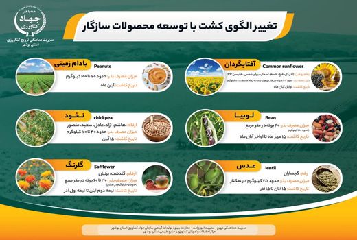 رونمایی از پوستر الگوی کشت در استان بوشهر 