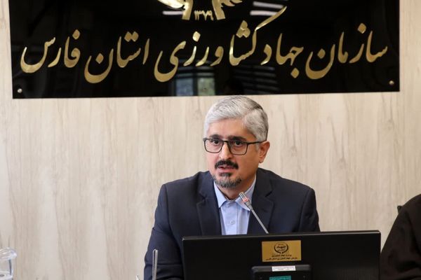 مشاغل کوچک و خانگی روستایی حمایت و تقویت می شوند