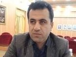 بذر مرغوب، محور اصلی پایداری تولید در کشاورزی
