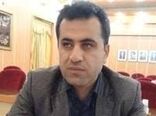 بذر مرغوب، محور اصلی پایداری تولید در کشاورزی
