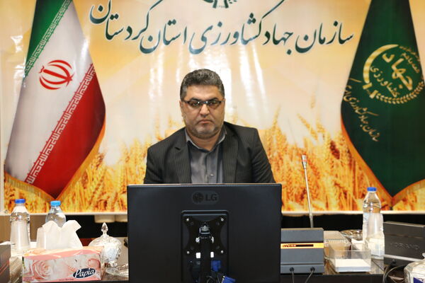 رفع تداخل و صدور اسناد مالکیت یک انقلاب در حوزه زمین است
