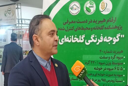 توسعه گلخانه‌ها با سند ملی؛ از فضای باز به محیط‌های کنترل‌شده