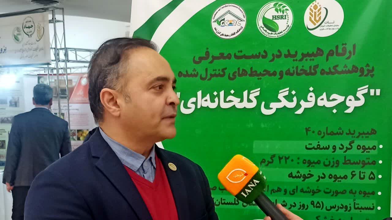 توسعه گلخانه‌ها با سند ملی؛ از فضای باز به محیط‌های کنترل‌شده