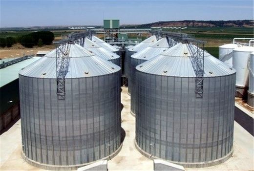 خرید تضمینی گندم در زنجان آغاز شد