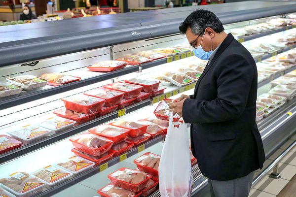 صادرات محصولات فرآوریشده افزایش مییابد/  هماهنگی دولت و اصناف، کلید ثبات بازار گوشت