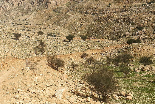 حیات‌وحش و تاریخ خائیز در تیررس بسازوبفروشی است