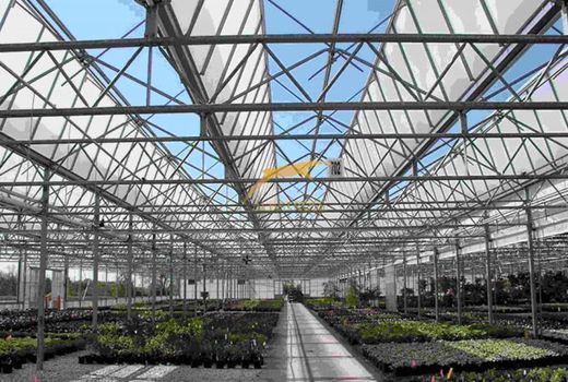 11 هزار هکتار مجتمع گلخانه‌ای آماده واگذاری است 