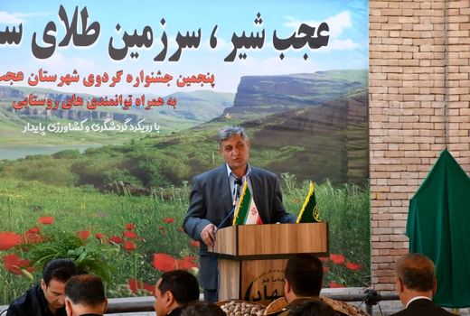 تولید 20 هزار تن گردو از باغات آذربایجان شرقی/ عجب‌شیر پیشتاز تولید گردو در استان