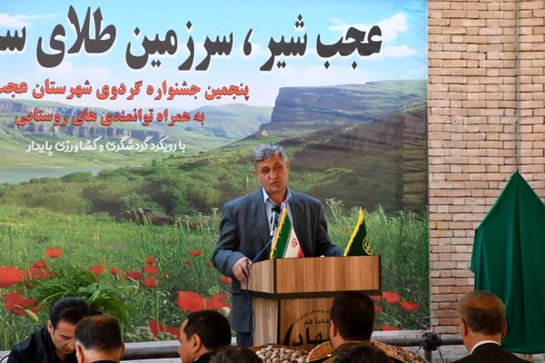 تولید 20 هزار تن گردو از باغات آذربایجان شرقی/ عجب‌شیر پیشتاز تولید گردو در استان