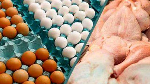 قیمت گوشت مرغ و تخم مرغ روند کاهشی داشته است
