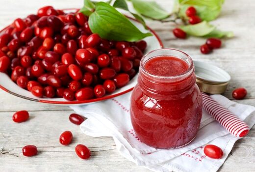 برآورد تولید بیش از یک هزار و 100 تن زغال اخته در استان آذر بایجان شرقی