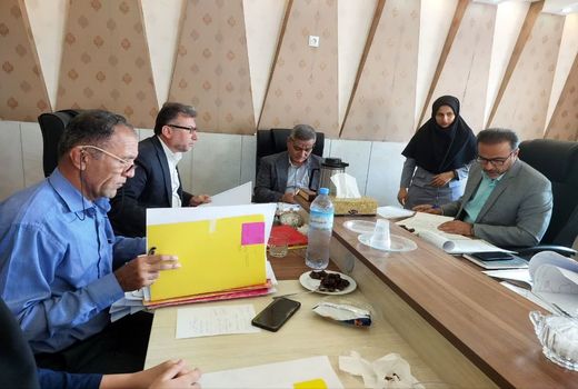 ۳۷۰۰ هکتار اراضی غیرملی در شهرستان‌های جم و گناوه تثبیت شد