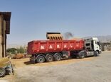 خرید  ۱۴هزار تن گندم توسط تعاون روستایی استان بوشهر