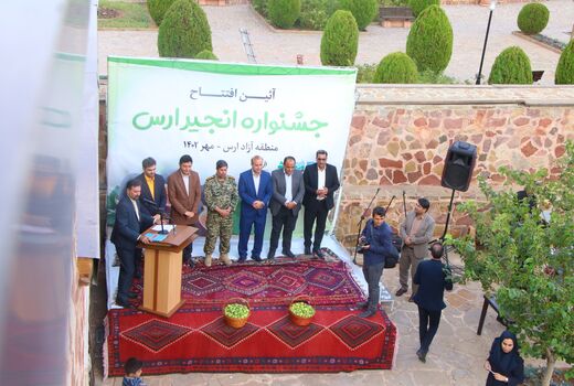 رتبه نخست شهرستان جلفا در تولید انجیر / برداشت 1500 تن انجیر