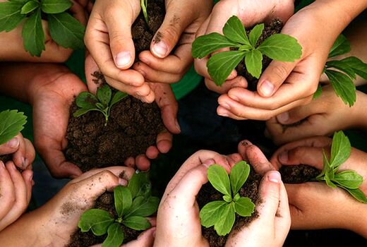 گسترش اشتغال پایدار از طریق شبکه‌سازی صندوق‌های روستایی وعشایری
