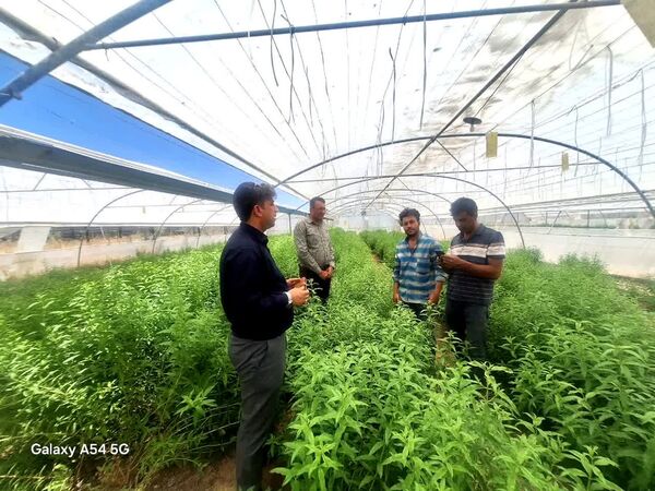 پیگیری میدانی برای تکمیل زنجیره ارزش کشاورزی داراب