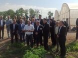 بازدید معاونان وزیر جهاد کشاورزی از مزرعه تولید بذر سبزی و صیفی مرکز آموزش عالی امام خمینی(ره)
