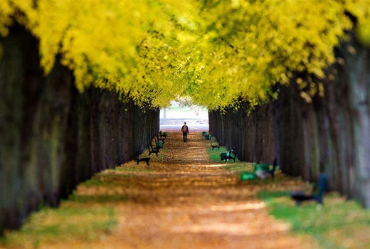 پاییز در اروپا 