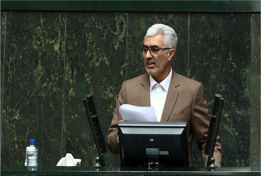 تلاش مجلس برای حمایت از تولیدات کشاورزی