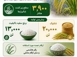  اینفوگرافی | کشت برنج در قزوین 