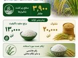  اینفوگرافی | کشت برنج در قزوین 