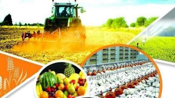 تجلیل از شش نـمــونه منتخب ملی بخش کشاورزی  استان اصفهان