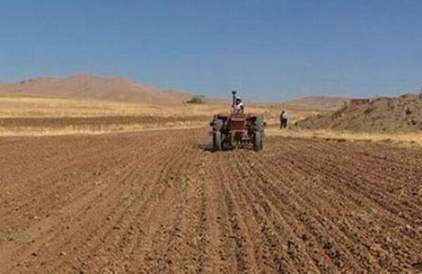 ۱۱ هزار تن بذر با آغاز کشت گندم در بوشهر تامین شد
