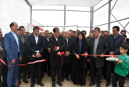 افتتاح گلخانه ۴ هکتاری «محور راه ستاره مهر» در شهرک کشاورزی ملکان