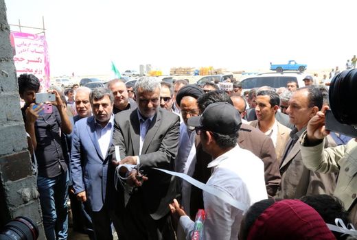 افزایش 4 برابری تولید میگو در شش سال اخیر