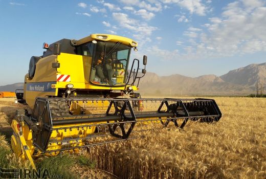 450 میلیارد تومان اعتبار برای تکمیل طرح‌های کشاورزی استان ایلام نیاز است
