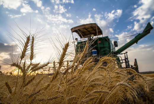 افزایش 5.2 میلیون تنی تولید در دولت روحانی 