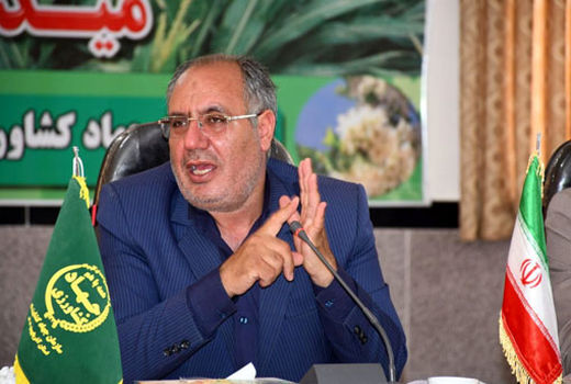 کشت بذر اصلاح شده اقتصاد کشاورزان اهر را به شکوفایی می رساند