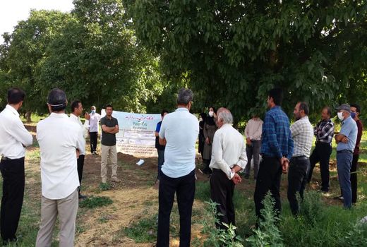 کارگاه آموزشی مدرسه در مزرعه در مزارع ذرت علوفه‌ای استان قزوین