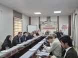 بررسی ۳۳ پرونده در کمیته فنی مشاورتی طرح‌های زیر بخش کشاورزی در‌ استان قزوین