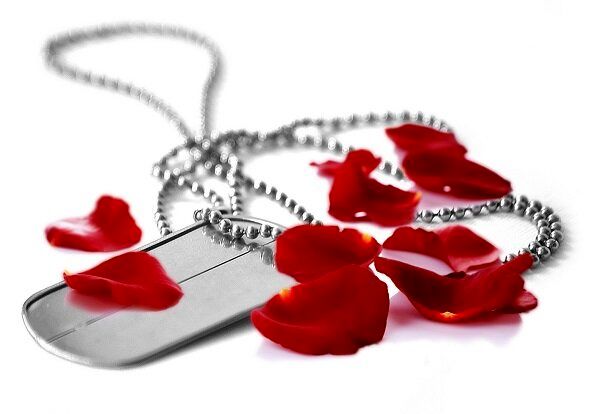  کمیسیون مرکزی ایثارگران در وزارت جهاد کشاورزی تشکیل می‌شود/ حمایت از ۵۰۰ هزار جهادگر دوران دفاع مقدس