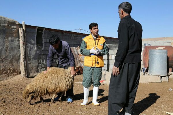 آغاز سی و چهارمین مقصد رزمایش‌های استانی جهاد دامپزشکی در لرستان