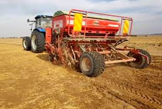  کشت مستقیم در مزارع گندم خرمشهر