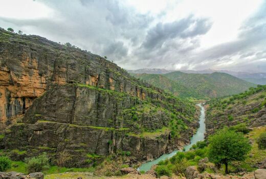 طبیعت بهاری زاگرس 