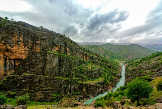 طبیعت بهاری زاگرس 