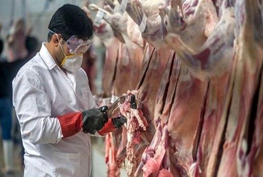 ۱۶ کشتارگاه دام در آذربایجان غربی آماده ذبح دام‌های شهروندان در عید قربان است 