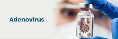 پوشش ۱۰۰ درصدی واکسیناسیون آدنوویروس در مزارع مرغ مادر قزوین