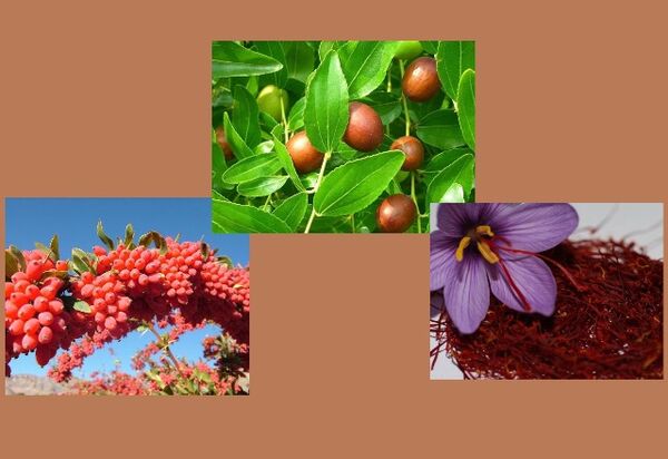 ثبت جهانی زرشک، زعفران و عناب خراسان جنوبی
