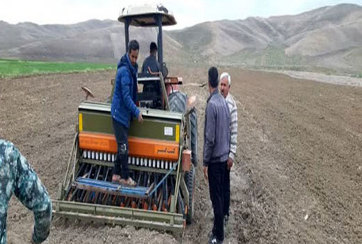 آغاز کشت کلزا در شهرستان ورزقان