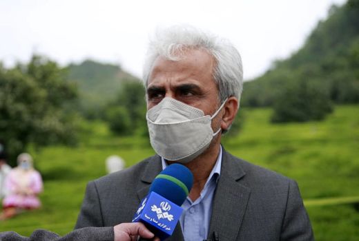 خریداری بالغ بر 52هزار تن برگ سبز چای از کشاورزان گیلانی و مازندرانی