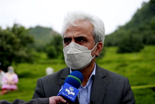 خریداری بالغ بر 52هزار تن برگ سبز چای از کشاورزان گیلانی و مازندرانی