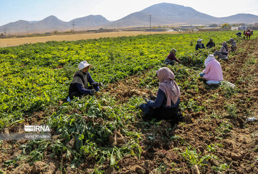 اهمیت آموزش، ترویج و مشارکت‌های مردمی و ضرورت ارتقای جایگاه آن در نظام مدیریتی منابع طبیعی