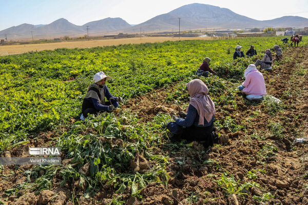 اهمیت آموزش، ترویج و مشارکت‌های مردمی و ضرورت ارتقای جایگاه آن در نظام مدیریتی منابع طبیعی