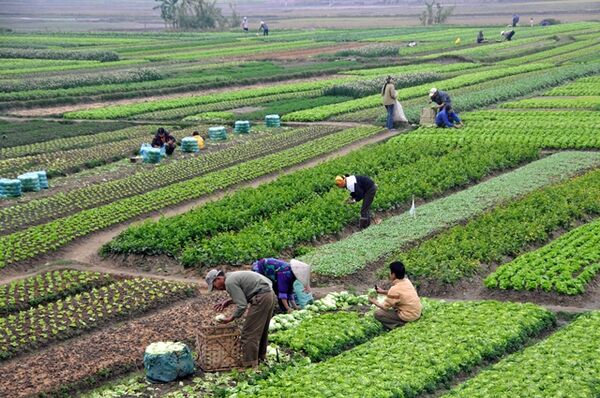 برگزاری مانور گشت‌های ویژه حفاظت اراضی کشاورزی/ مردم تخلفات تغییر کاربری اراضی کشاورزی را به 131 اطلاع دهند