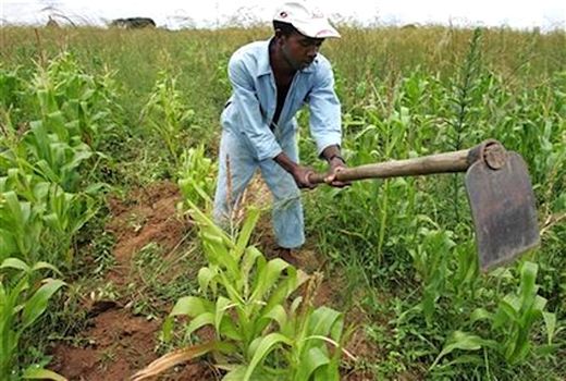 افزایش بهره‌وری مولفه مهم تامین امنیت غذایی است